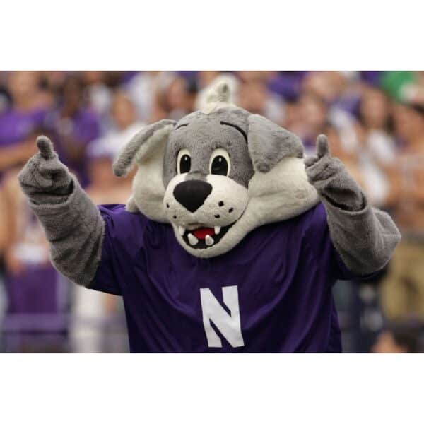 Northwestern University Wildcats Mascot Willie The Wildcat Pillow - Image 5
