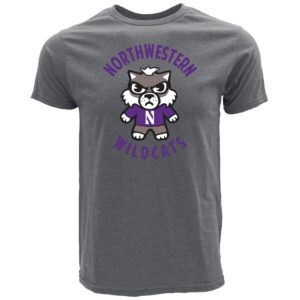 Northwestern University Wildcats Tokyodachi Kihon Design Heather Gray Bi-blend Tee Shirt