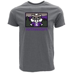 Northwestern University Wildcats Tokyodachi Kashiwa Design Heather Gray Bi-blend Tee Shirt