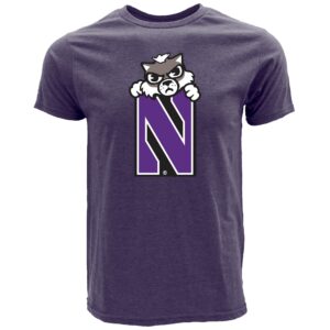 Northwestern University Wildcats Tokyodachi Asobi Design Heather Purple Bi-blend Tee Shirt