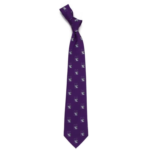 Northwestern University Wildcats Purple Prep Necktie N-Cat Design
