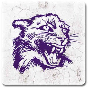 Northwestern University Wildcats Ceramic Coaster #3
