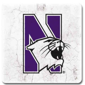 Northwestern University Wildcats Ceramic Coaster #6