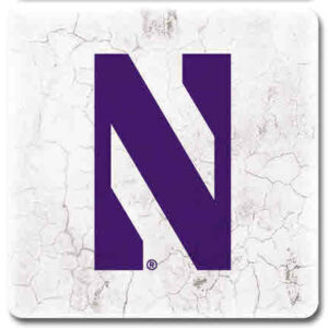 Northwestern University Wildcats Ceramic Coaster #7
