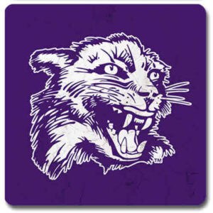 Northwestern University Wildcats Ceramic Coaster #10