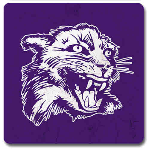 Northwestern University Wildcats Ceramic Coaster #10