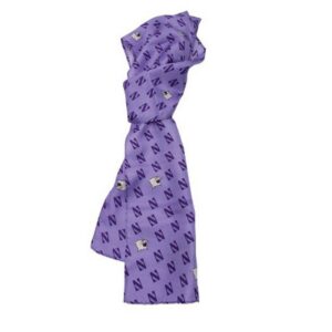 Northwestern University Wildcats Lavender Silk Scarf