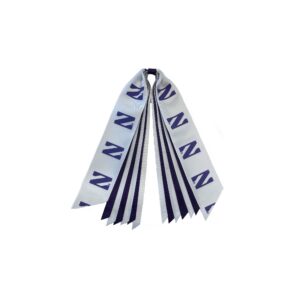 Northwestern University Wildcats Pony Streamer