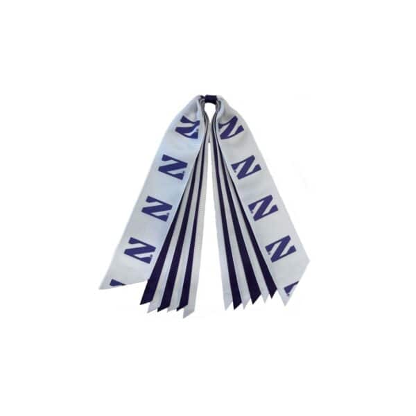 Northwestern University Wildcats Pony Streamer