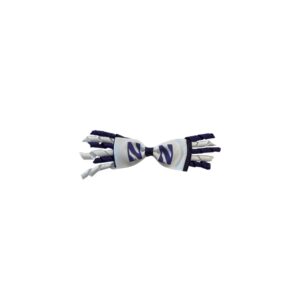 Northwestern University Wildcats Spyro Bow