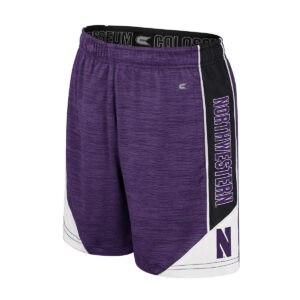Northwestern University Wildcats Colosseum Youth Rylos Purple Shorts
