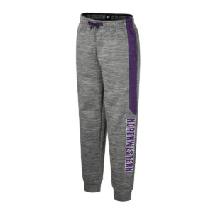 Northwestern University Wildcats Colosseum Youth Rylos Fleece Pant (Nickle Grey/Limited Purple)