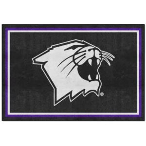 Floor Mats & Area Rugs