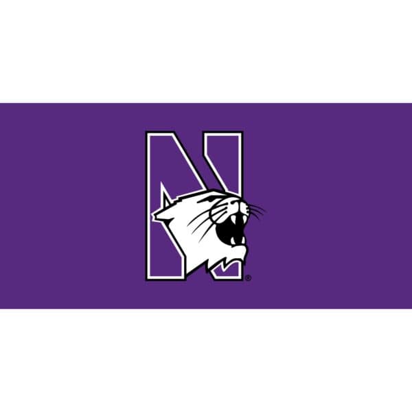 Northwestern University Wildcats Rectangular Table Cover With Multi Color N-cat Design 48"X96"