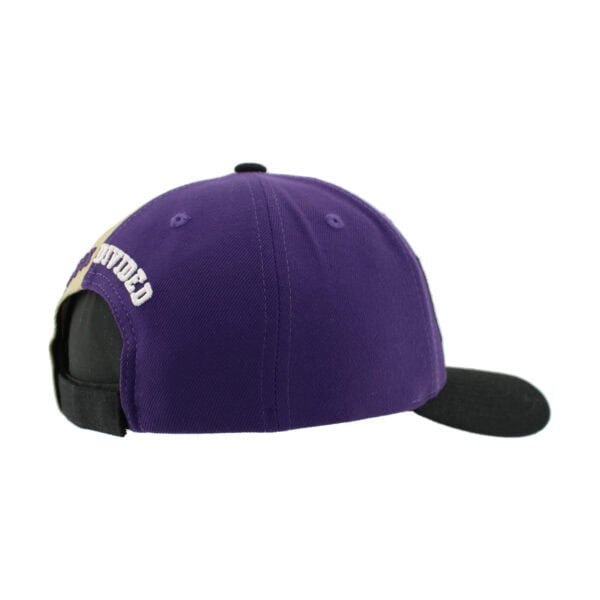 Northwestern University Wildcats House Divided Hat with University of Washington Huskies - Image 3