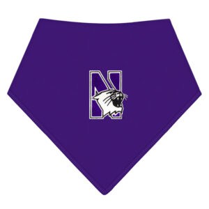 Northwestern University Purple Baby Bandana Bib