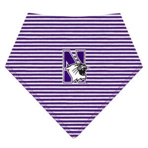 Northwestern University Purple & White Stripped Baby Bandana Bib