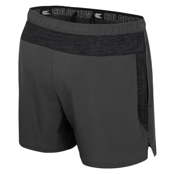 Northwestern University Wildcats Colosseum Men's Theoretical Charcoal/Black Shorts with N-Cat Design - Image 2