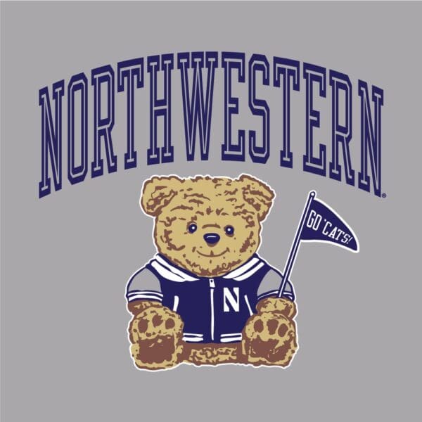 Northwestern University Wildcats Men's Grey Crewneck Sweatshirt with Sitting Bear Design-2